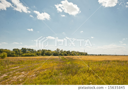 Landscape summer. Landscape summer. 15635845