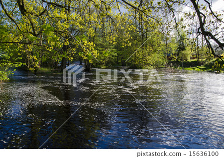 Springtime at the river Springtime at the river 15636100