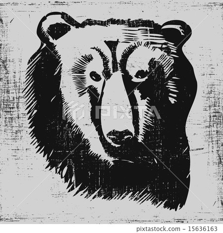 bear head hand drawn sketch grunge texture engraving style bear head hand drawn sketch grunge texture engraving style 15636163