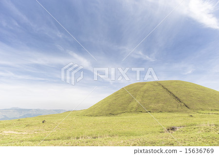 麻生Yonezuka 麻生Yonezuka 15636769