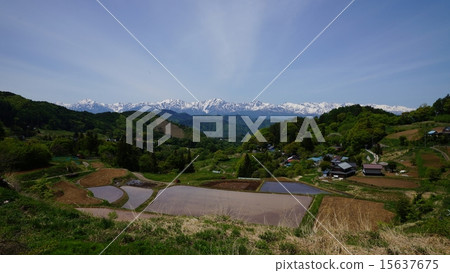 Shinshu Ooka和北阿爾卑斯山的剩余雪 15637675