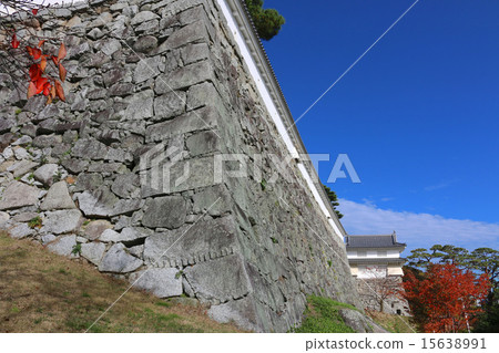 Kasaga城堡(二松本城) Kasaga城堡(二松本城) 15638991
