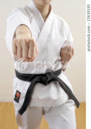 空手道的推力 15639195