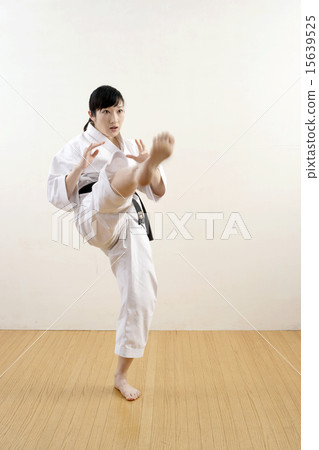 踢技術的形象 15639525