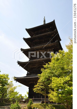 Bikkyo Kokubunji ⑥ 15641276