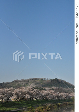 First glimpse of Senbonzakura and Funaoka Castle First glimpse of Senbonzakura and Funaoka Castle 15641578