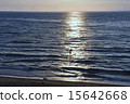 海上划船衝浪者衝浪 15642668