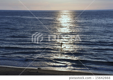 海上划船衝浪者衝浪 15642668