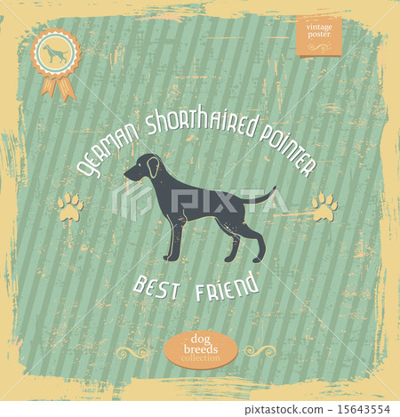 German Shorthaired Pointer vintage  poster 15643554