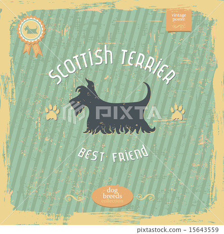 Scottish Terrier vintage typography poster 15643559