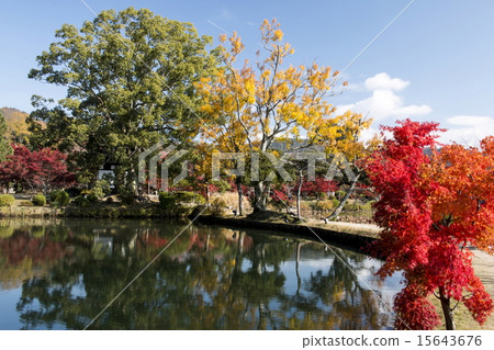 Fall of Daimyoji Fall of Daimyoji 15643676