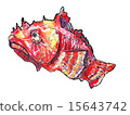蝎子魚 15643742