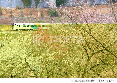 Takao Umezo和Chuo Main Line 15644488