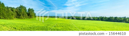 summer landscape a panorama with a field and sky summer landscape a panorama with a field and sky 15644610