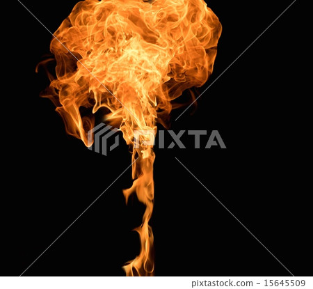 Burning flame on black background 15645509