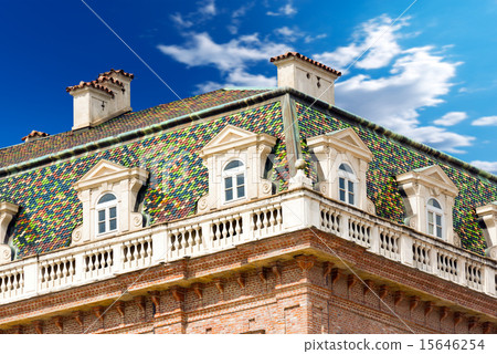 Venaria Reale - Torino Piemonte Italy 15646254