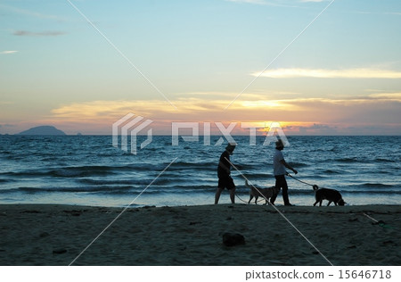 黃昏海灘狗步行 15646718