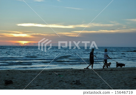 晚上海灘的黃昏黃昏 15646719