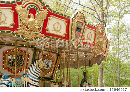Merry-go-round in the forest 15646917