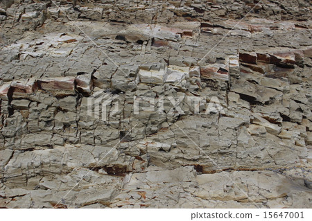 赤塔的錯 15647001