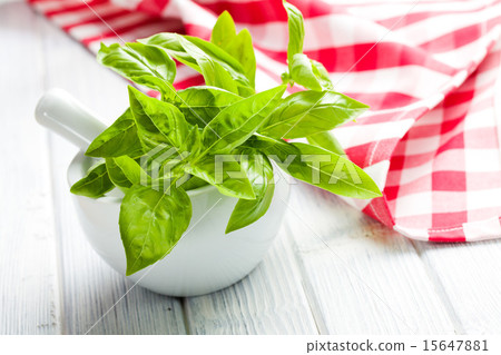 圖庫照片: fresh basil leaves in a mortar