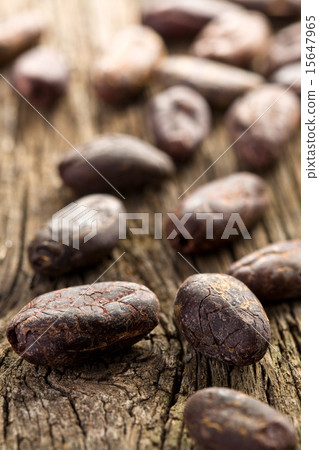 cocoa beans 15647965