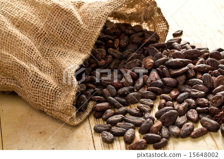 jute bag with cocoa beans 15648002