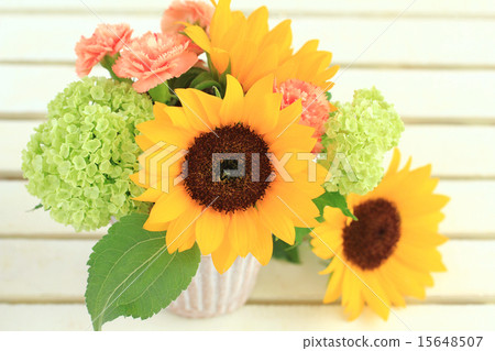 Sunflower arrangement 15648507