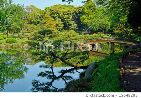 清澄花園：橫跨中島的橋樑 15649295