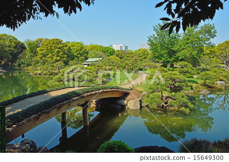 Kiyosumi garden: a bridge across the middle island Kiyosumi garden: a bridge across the middle island 15649300