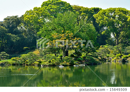 清澄花園:移民林澤園 清澄花園:移民林澤園 15649309