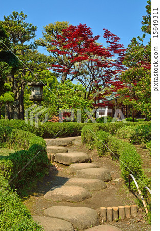 清澄花園：移民林澤園 15649311