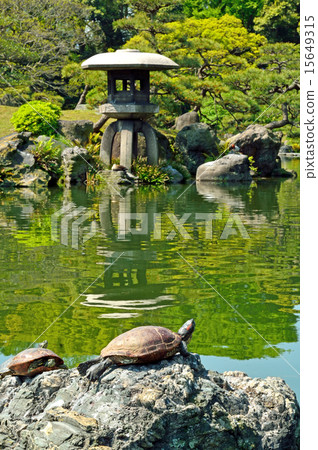 清澄花園：Yukimi燈籠 15649315