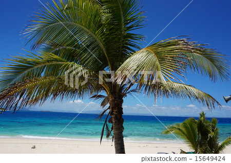Fiji, the sea, the beach 15649424