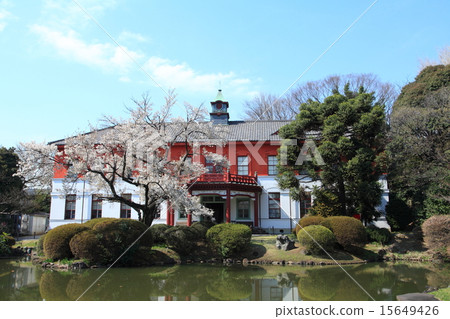 Koishikawa Botanic Garden 15649426