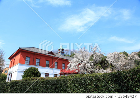 Koishikawa Botanic Garden 15649427