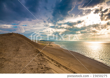 Towering dunes 15650275