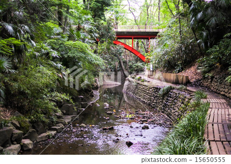 Todoroki Valley Todoroki Valley 15650555