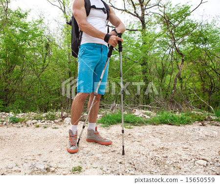 sporty hiker walking through forest 15650559