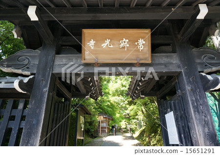 新鮮的綠色京都嵐山“Junko寺”（正門） 15651291