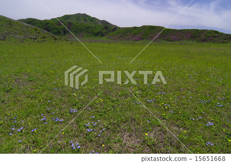 Kusousagirigahama of Mt. Aso Kusousagirigahama of Mt. Aso 15651668