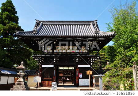 Umenomiya Taisha 15651856