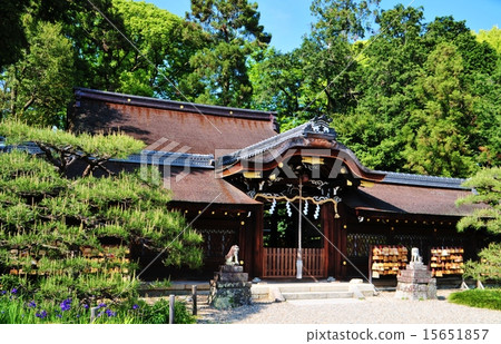 Umenomiya Taisha 15651857