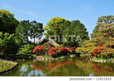 Umenomiya Taisha Umenomiya Taisha 15651859