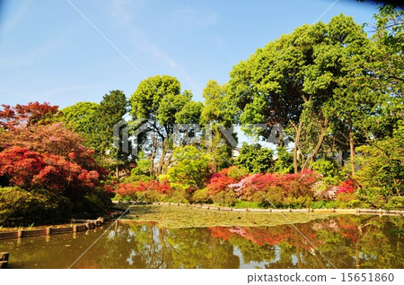 Umenomiya Taisha Umenomiya Taisha 15651860