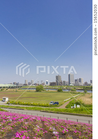 Arakawa銀行的花藝術和川口的街道 15652030