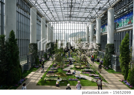 與國立明石海洋公園“奇蹟之星的植物屋”的淡淡夢幻舞台大溫室 15652099
