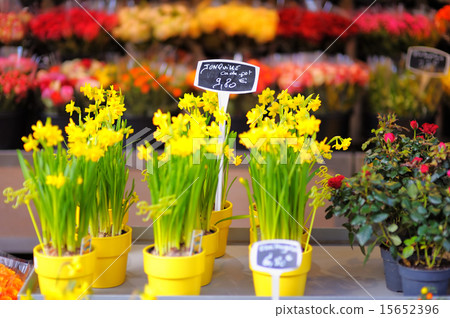 Beautiful flowers sold on outdoor flower shop 15652396