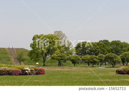 Lawn Square Lawn Square 15652713