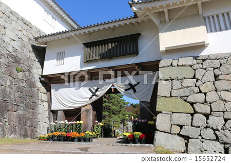 Kasaga城堡在秋天 15652724